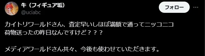 カイトリワールド 評判