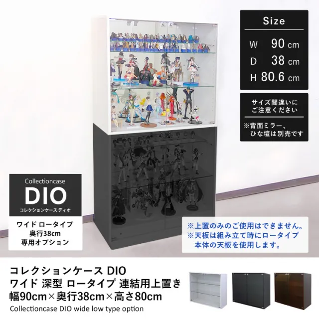 地球家具 コレクションラックDIO上置き