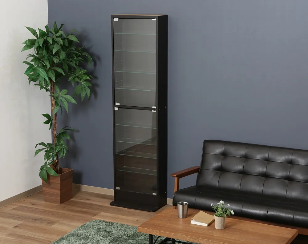 不二貿易ガラスコレクションケース