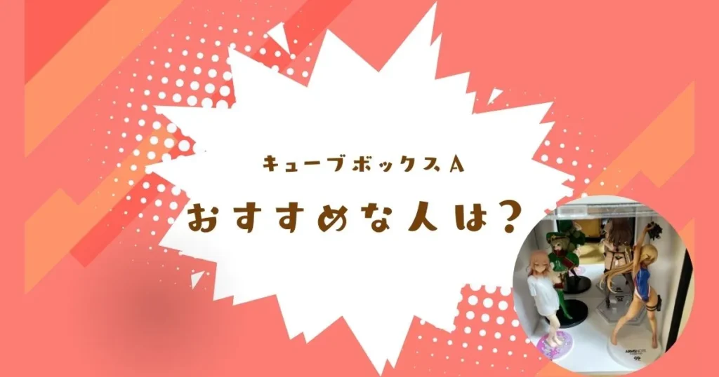 キューブボックスαはいきなり高価なケースを買うのが不安な人におすすめ