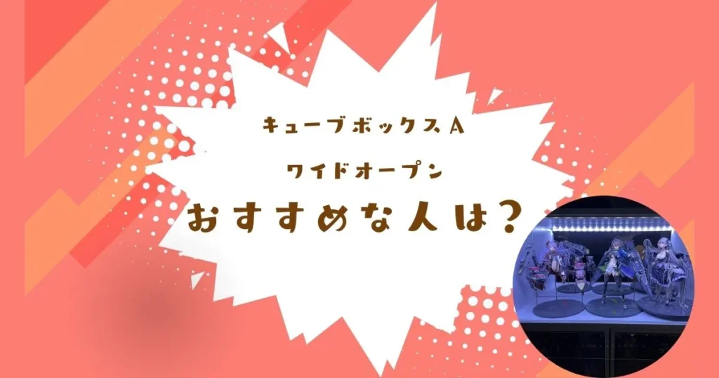 キューブボックスαワイドオープンは初めての大型ケースにおすすめ