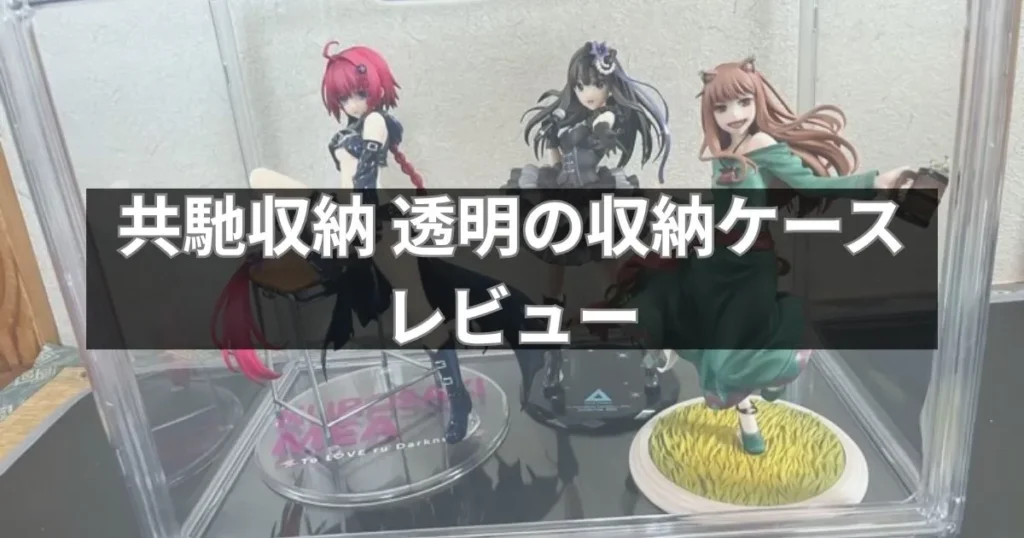 共馳収納の透明収納ケースをレビュー