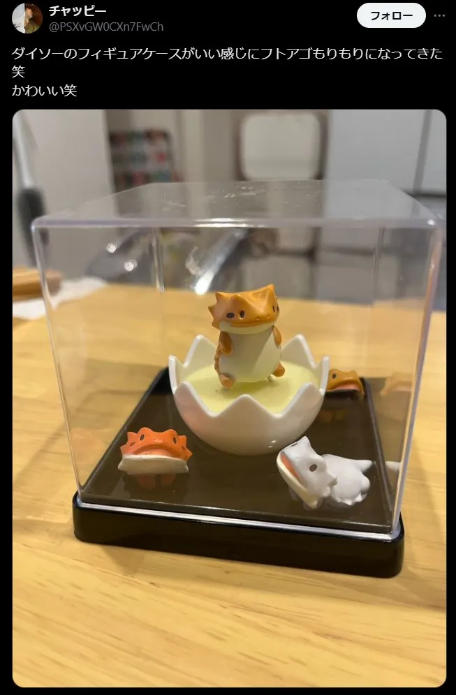 コレクションケース・ミニ