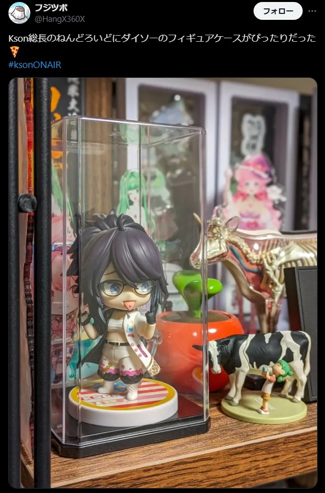 ダイソー「コレクションミニ・トール」
