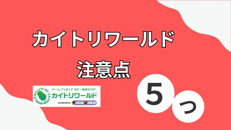 カイトリワールド 注意点