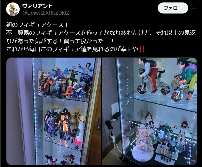 不二貿易コレクションケース 高級感
