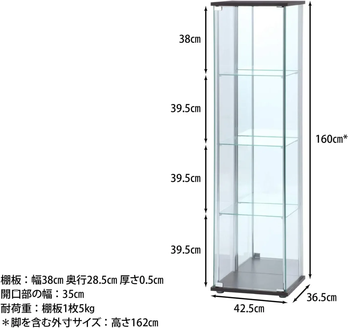 不二貿易 コレクションケース 背面ミラー
