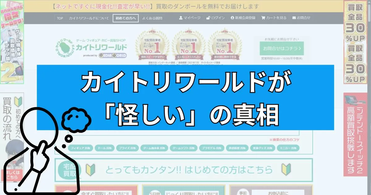 結論：カイトリワールドは決して「怪しい」業者ではない