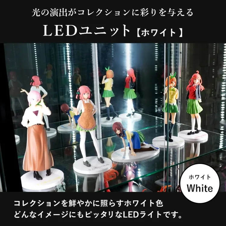 地球家具 ガラスコレクションケース JONY ジョニー ワイド 幅80cm ハイタイプ