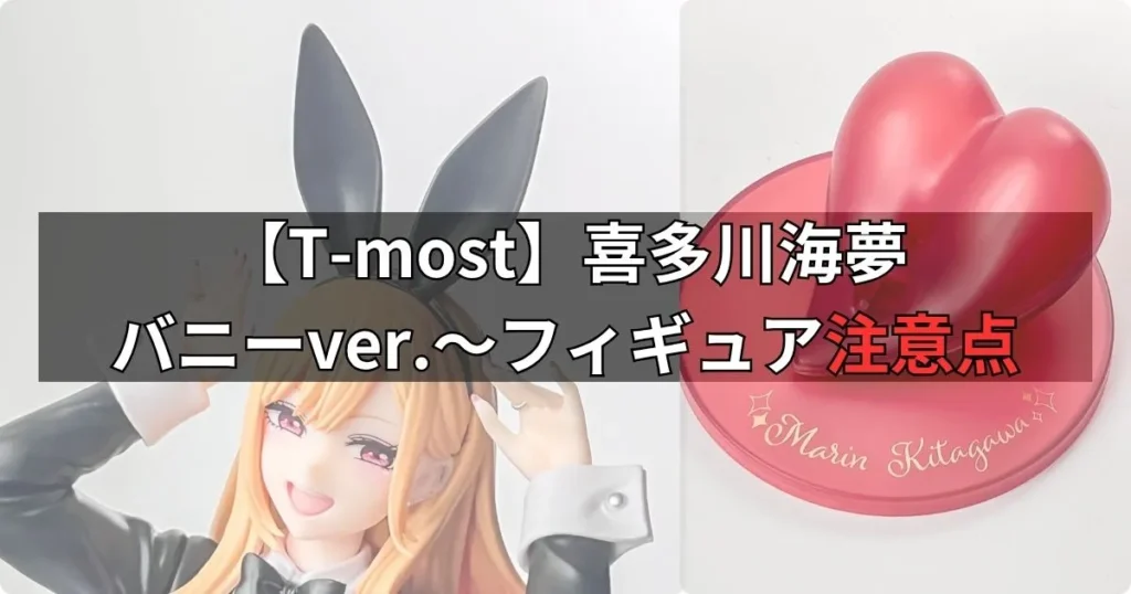 T-most 喜多川海夢 フィギュア～バニーver.～の購入前に知っておきたい注意点